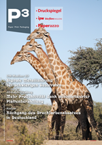 Issue P3 3-4/2024 de