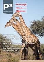Issue P3 3-4/2024 en